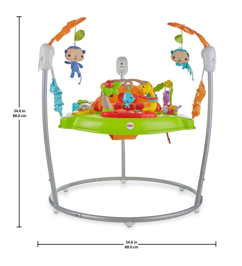 Fisher-Price Tiger Time Jumperoo